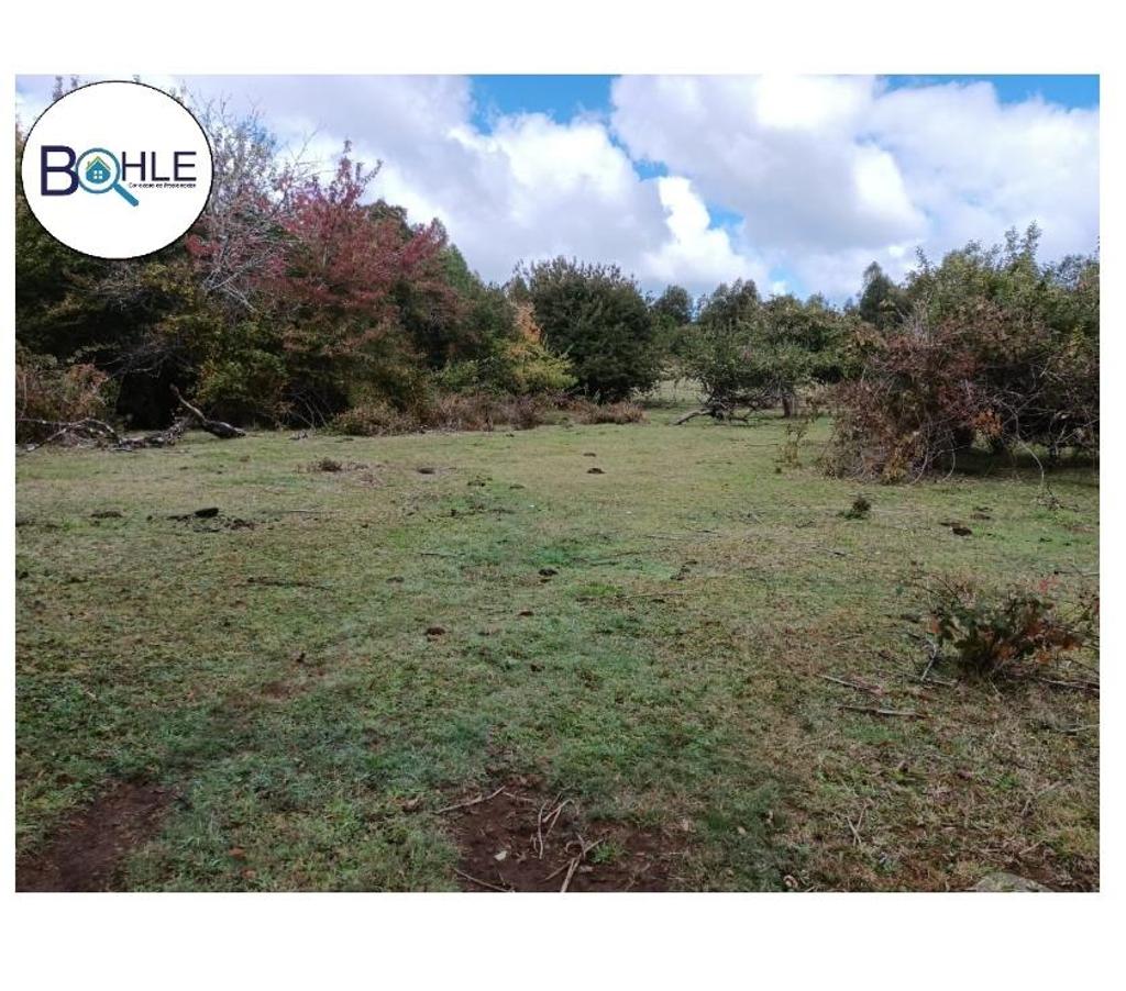 Venta de Haciendas Llanquihue Fresia - Fotos de VENDO - Campo de 25 Há en Fresia