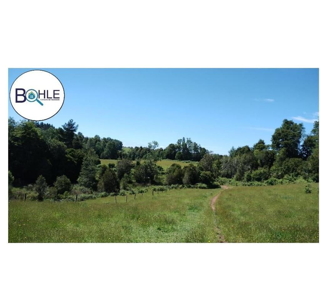 Venta de Haciendas Llanquihue Los Muermos - Fotos de VENDO - Campo de 33 Há en Rio Frio, Los Muermos