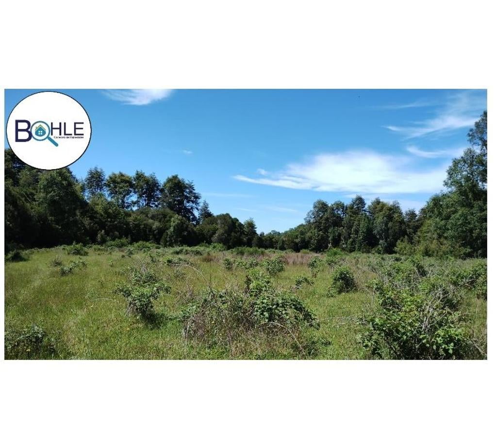 Venta de Haciendas Llanquihue Los Muermos - Fotos de VENDO - Campo de 33 Há en Rio Frio, Los Muermos