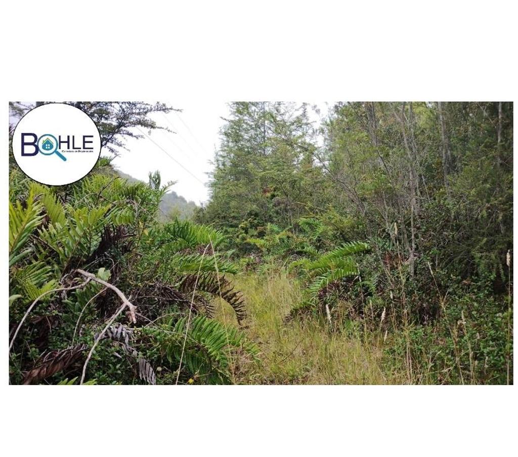 Venta de Haciendas Llanquihue Cochamó - Fotos de VENDO - Campo de 45.5 ha en Rio Puelo, Sector Yates