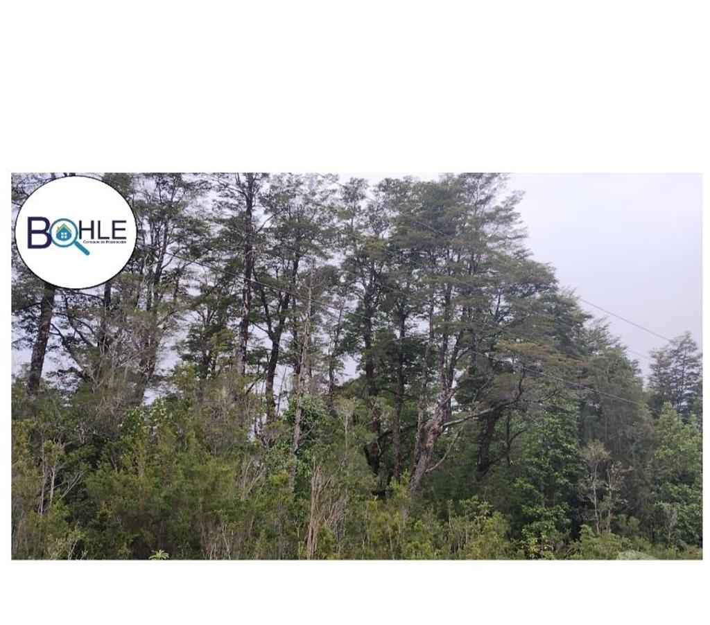 Venta de Haciendas Llanquihue Cochamó - Fotos de VENDO - Campo de 45.5 ha en Rio Puelo, Sector Yates