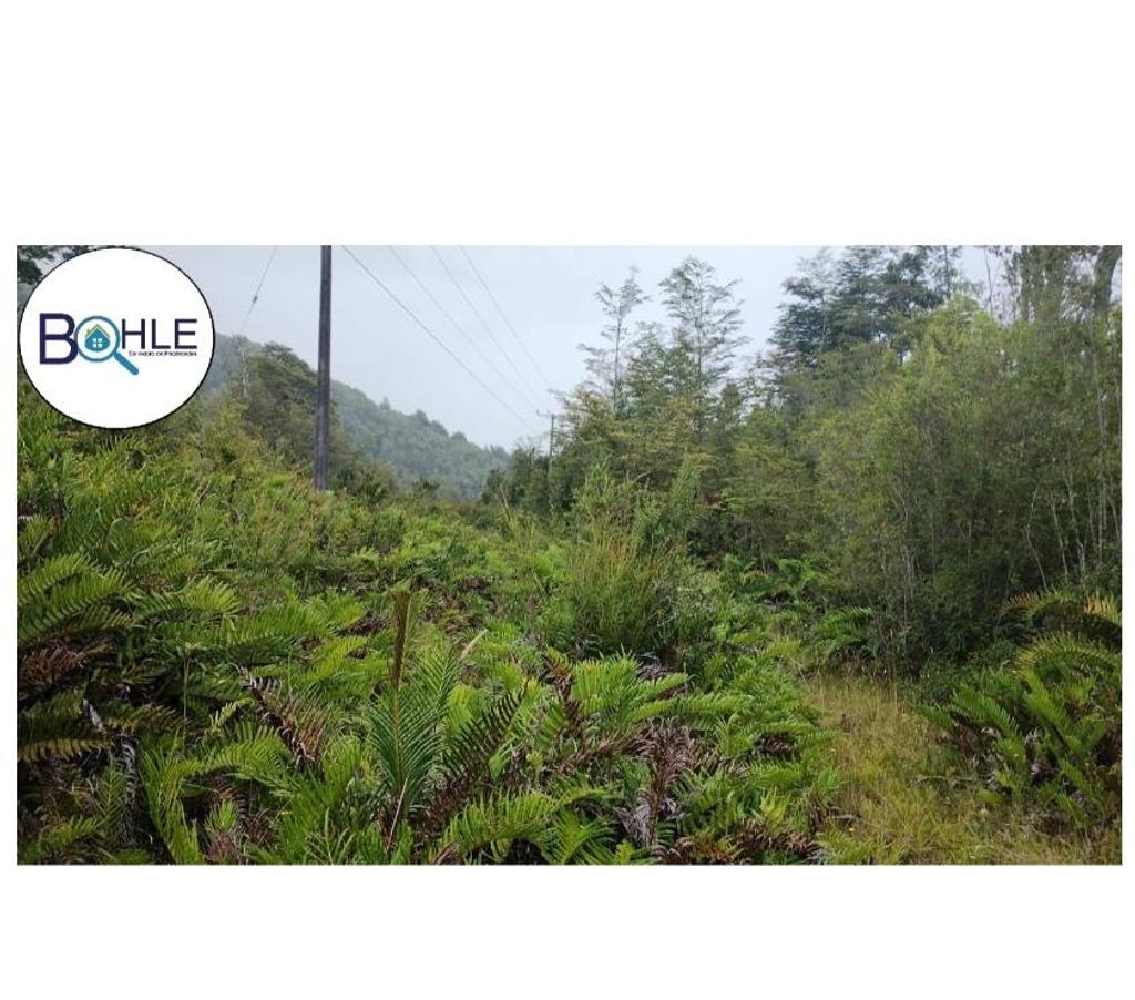 Venta de Haciendas Llanquihue Cochamó - Fotos de VENDO - Campo de 45.5 ha en Rio Puelo, Sector Yates