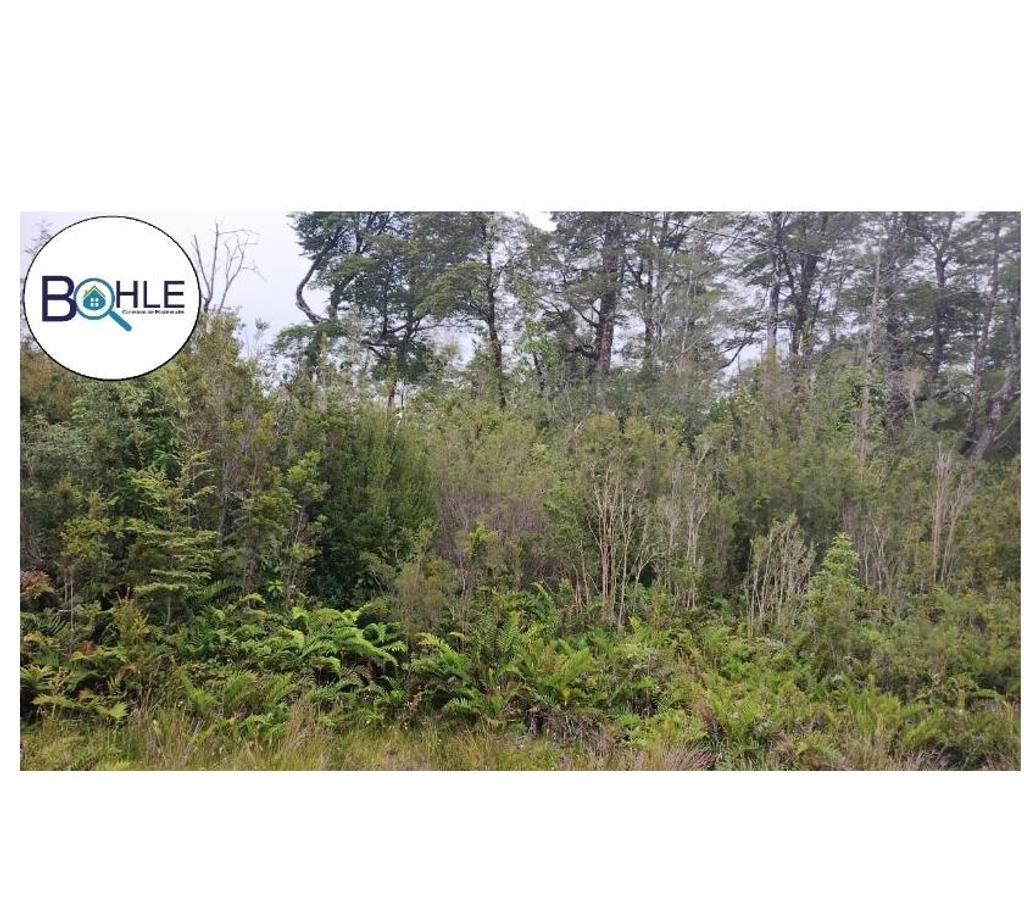 Venta de Haciendas Llanquihue Cochamó - Fotos de VENDO - Campo de 45.5 ha en Rio Puelo, Sector Yates
