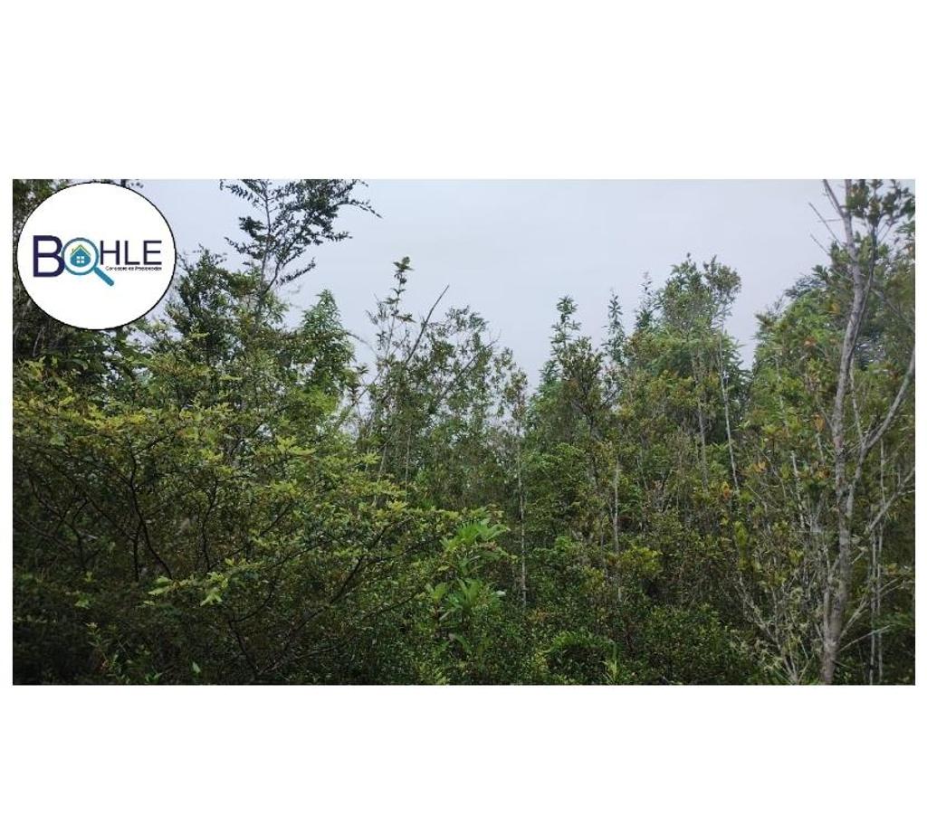 Venta de Haciendas Llanquihue Cochamó - Fotos de VENDO - Campo de 45.5 ha en Rio Puelo, Sector Yates