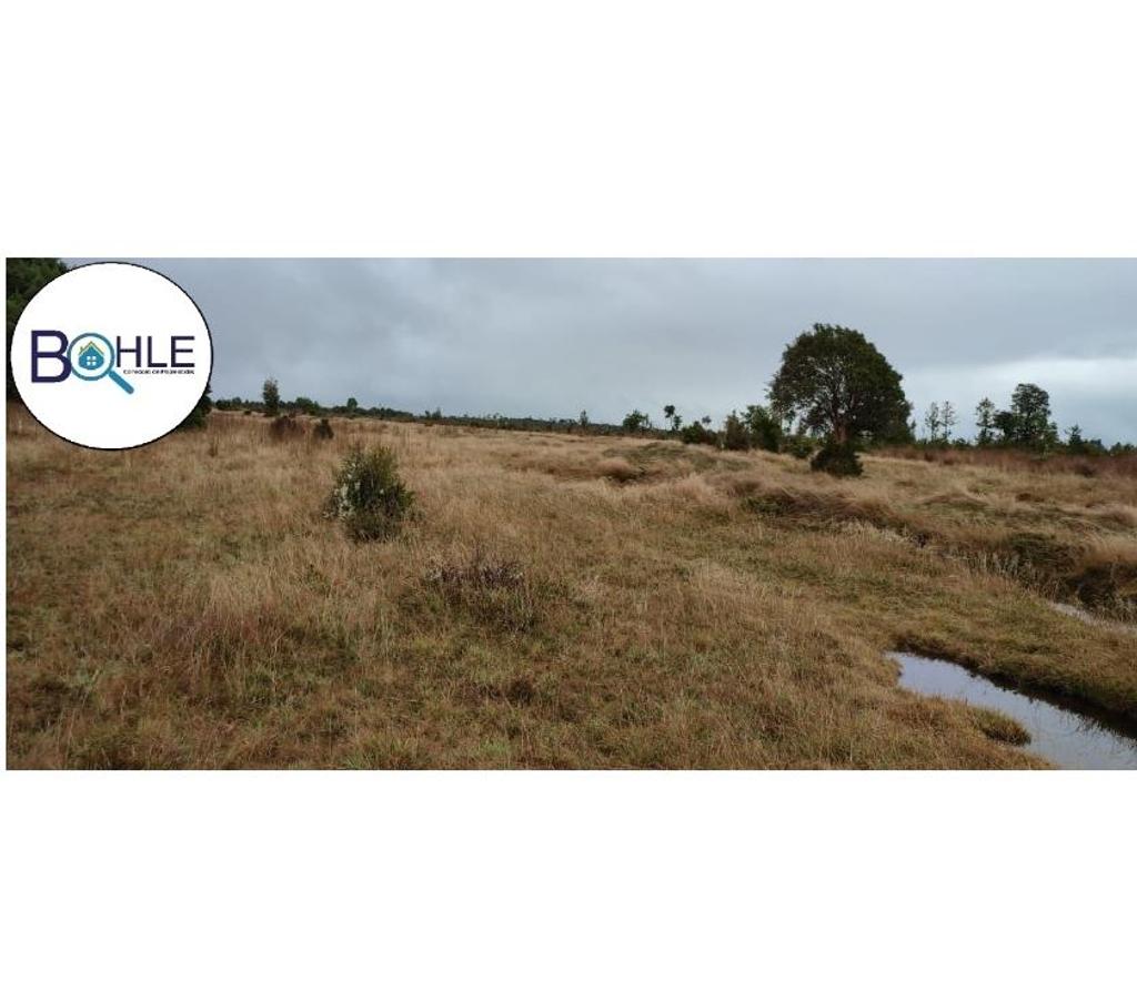 Venta de Haciendas Llanquihue Maullí - Fotos de Campo de 67 Há Sector Cadiquen, Maullín