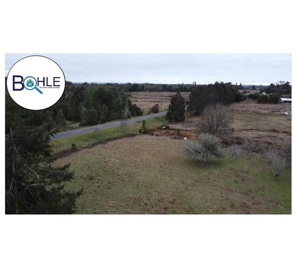 Venta de Haciendas Llanquihue Maullí - Fotos de Campo de 67 Há Sector Cadiquen, Maullín