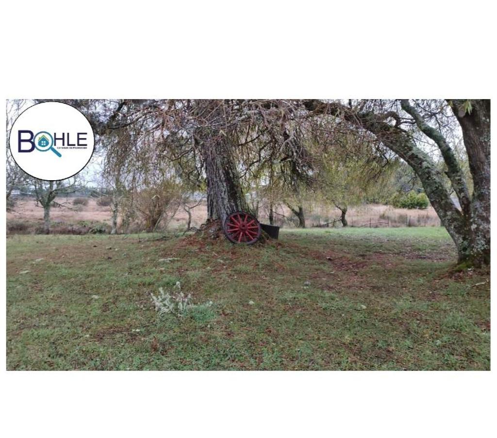 Venta de Haciendas Llanquihue Maullí - Fotos de Campo de 67 Há Sector Cadiquen, Maullín