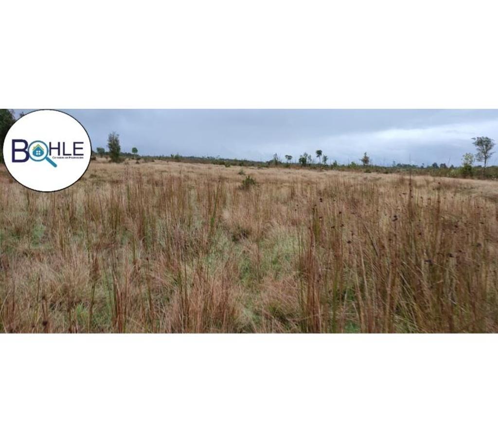 Venta de Haciendas Llanquihue Maullí - Fotos de Campo de 67 Há Sector Cadiquen, Maullín
