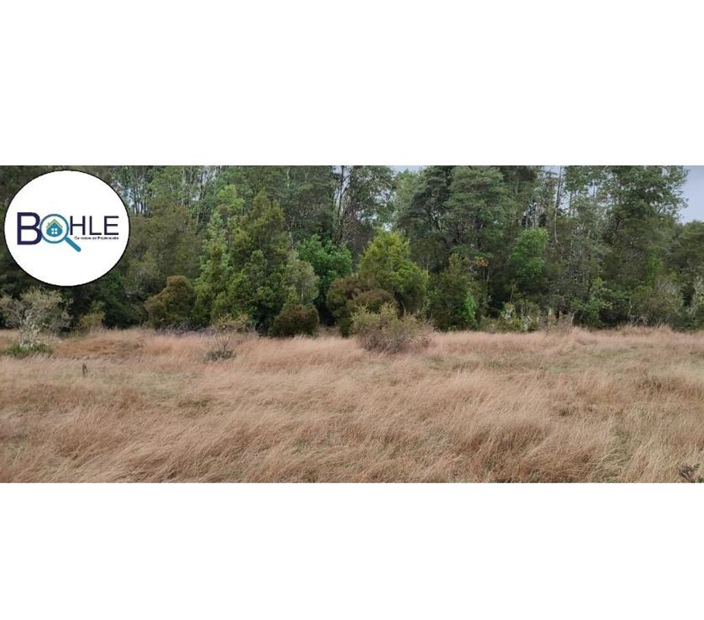 Venta de Haciendas Llanquihue Maullí - Fotos de Campo de 67 Há Sector Cadiquen, Maullín