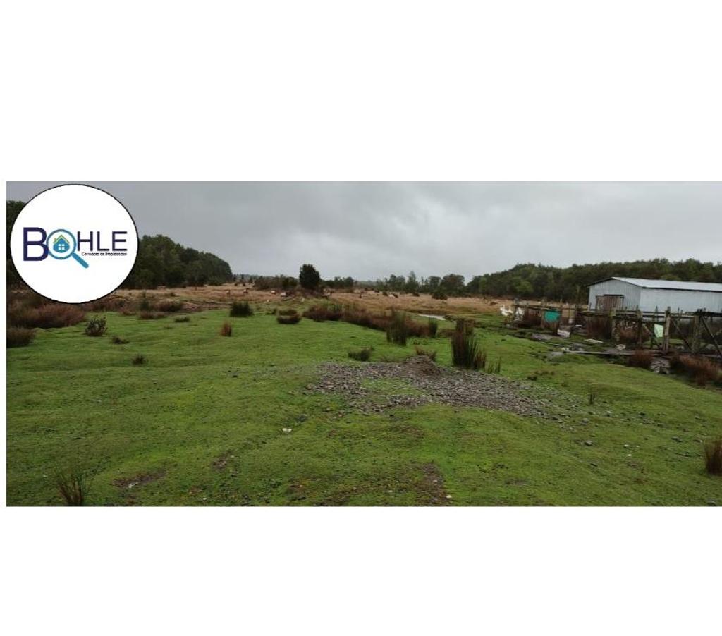 Venta de Haciendas Llanquihue Maullí - Fotos de Campo de 67 Há Sector Cadiquen, Maullín