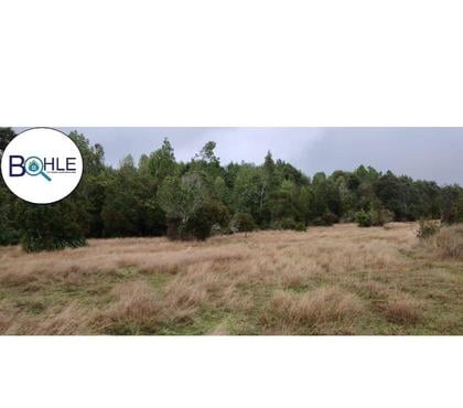 Haciendas en Venta Maullí Llanquihue - Fotos de Campo de 67 Há Sector Cadiquen, Maullín