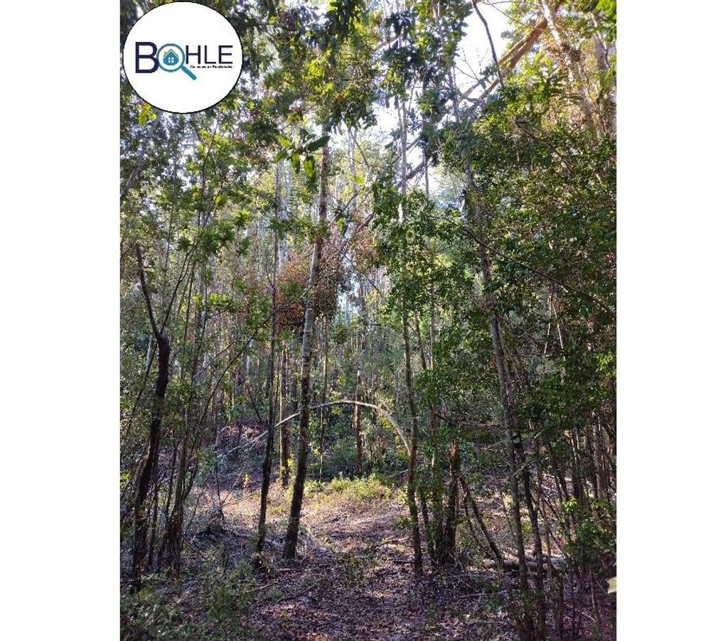 Venta de Haciendas Llanquihue Maullí - Fotos de VENDO - CAMPO 82 HA EN PARGUA