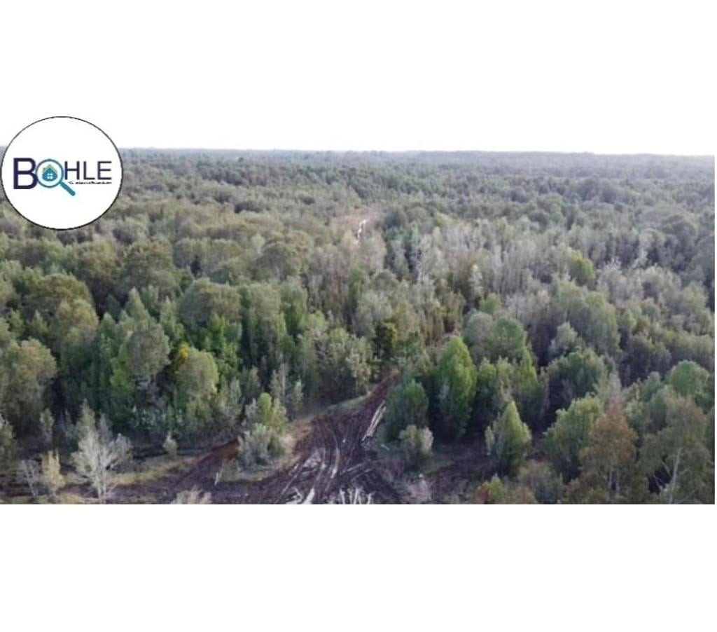 Venta de Haciendas Llanquihue Maullí - Fotos de VENDO - CAMPO 82 HA EN PARGUA