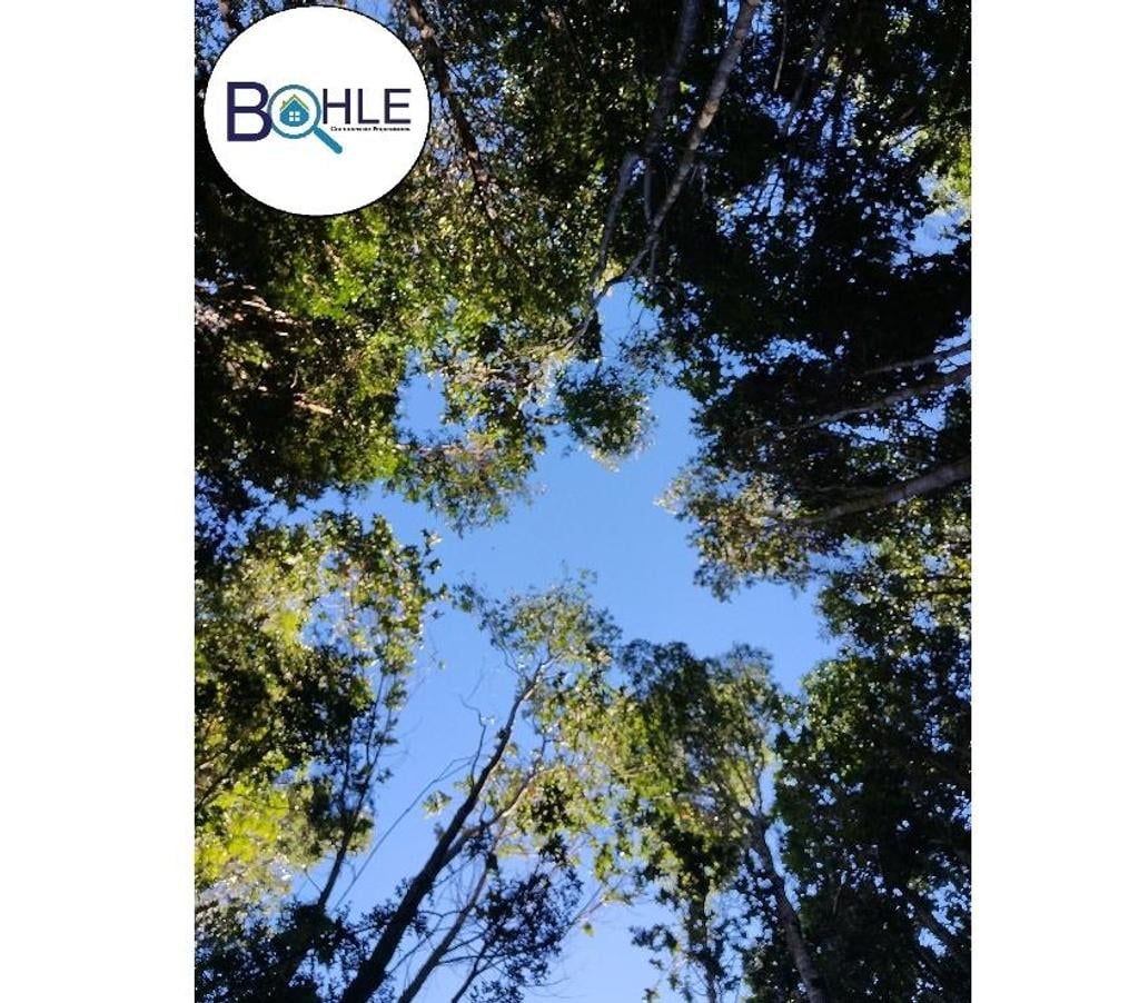 Venta de Haciendas Llanquihue Maullí - Fotos de VENDO - CAMPO 82 HA EN PARGUA