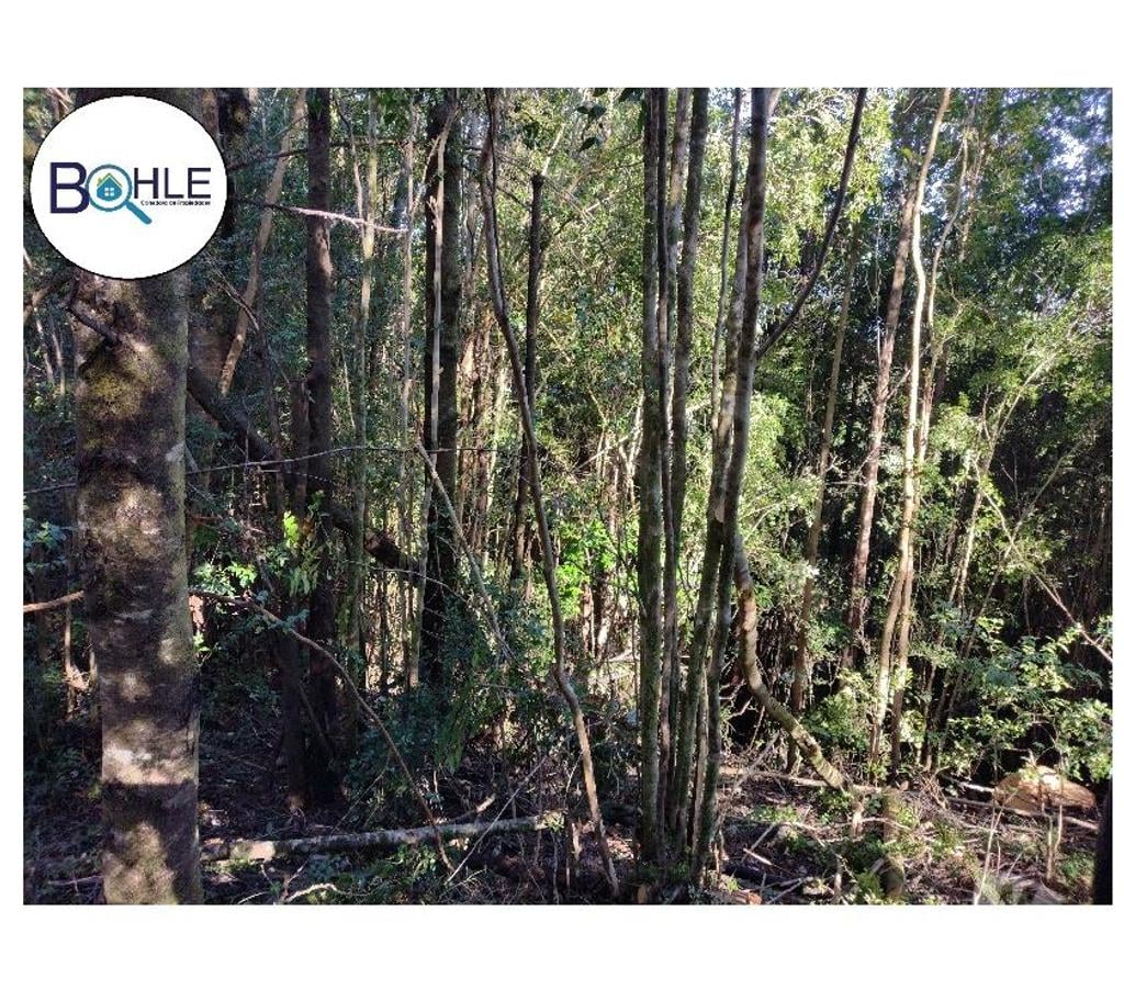 Venta de Haciendas Llanquihue Maullí - Fotos de VENDO - CAMPO 82 HA EN PARGUA