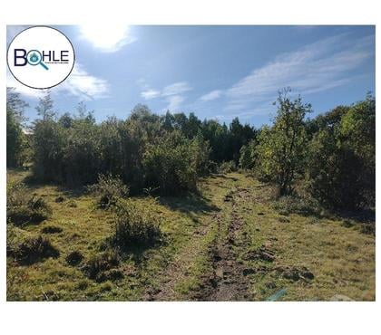 Venta de Campos Maullí Llanquihue - Fotos de VENDO - CAMPO 82 HA EN PARGUA