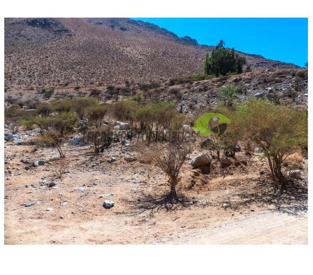 Parcelas en Venta Elqui Paihuano - Fotos de Terreno 1 hectárea en el mágico Cochiguaz, Valle del Elqui