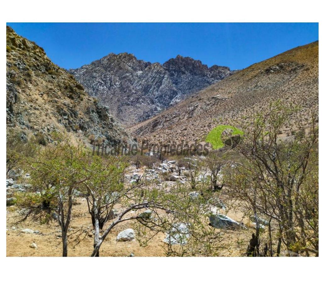 Parcelas en Venta Elqui Paihuano - Fotos de Terreno 1 hectárea en el mágico Cochiguaz, Valle del Elqui