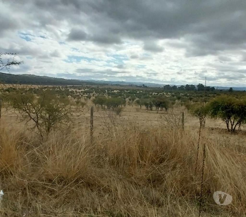 Venta de Haciendas Colchagua Lolol - Fotos de Muy Económico Campo de 630 hás en Lolol-Santa Cruz