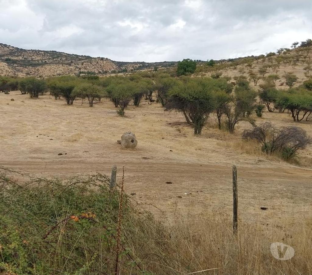 Venta de Haciendas Colchagua Lolol - Fotos de Muy Económico Campo de 630 hás en Lolol-Santa Cruz