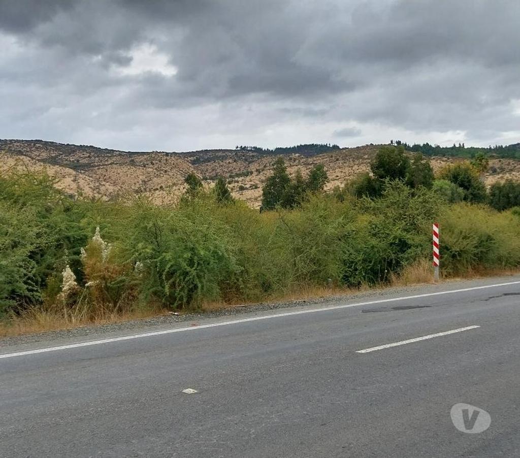 Venta de Haciendas Colchagua Lolol - Fotos de Muy Económico Campo de 630 hás en Lolol-Santa Cruz
