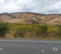 Muy Económico Campo de 630 hás en Lolol-Santa Cruz