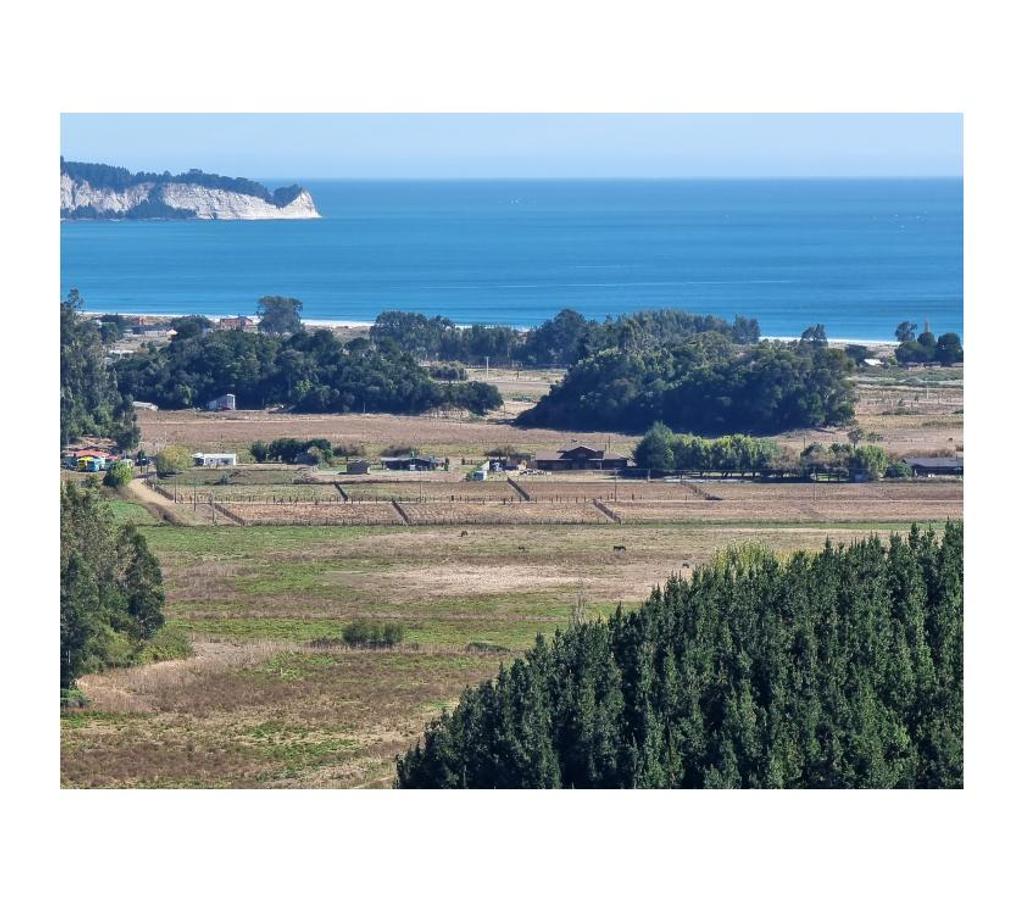 Parcelas en Venta Arauco Arauco - Fotos de PARCELAS CURAQUILLA VENTA