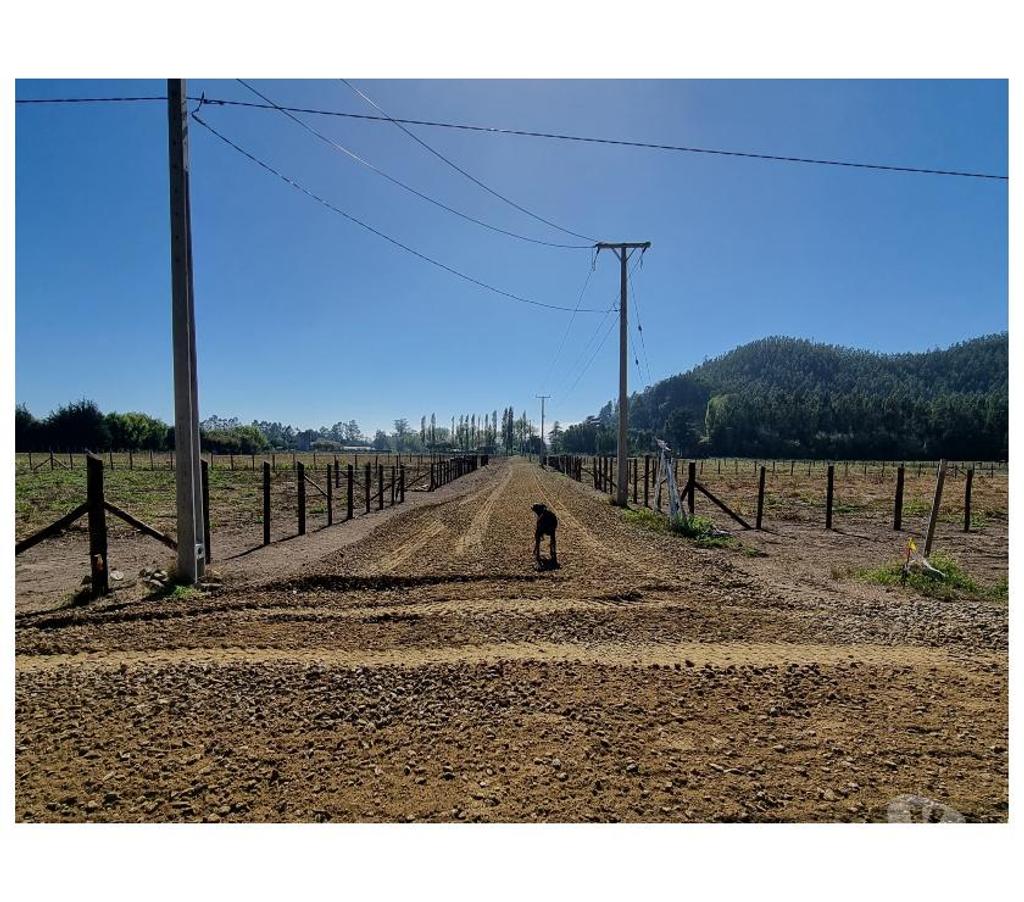Parcelas en Venta Arauco Arauco - Fotos de PARCELAS CURAQUILLA VENTA
