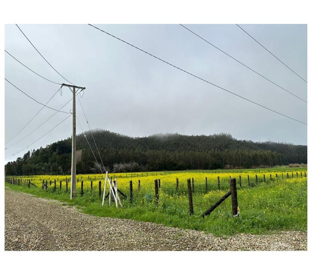 Parcelas en Venta Arauco Arauco - Fotos de PARCELAS CURAQUILLA VENTA