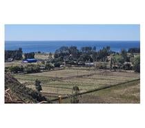 Fotos de CURAQUILLA PARCELA