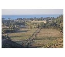 Fotos de CURAQUILLA PARCELA