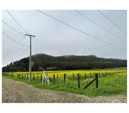 Parcelas Arauco Arauco - Fotos de PARCELAS CURAQUILLA VENTA