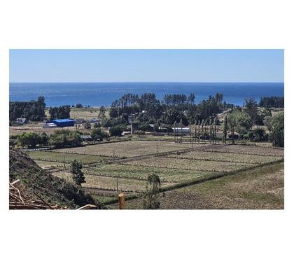 Parcelas Arauco Arauco - Fotos de CURAQUILLA PARCELA