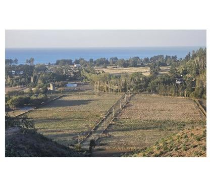 Parcelas Arauco Arauco - Fotos de CURAQUILLA PARCELA