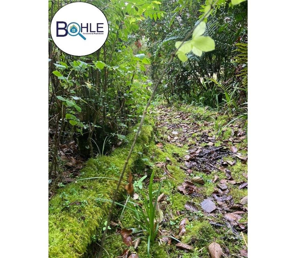 Parcelas en Venta Llanquihue Puerto Varas - Fotos de VENDO - TERRENO EN PUERTO VARAS 3 HECTÁREAS