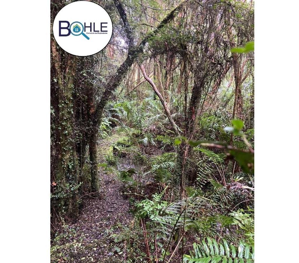 Parcelas en Venta Llanquihue Puerto Varas - Fotos de VENDO - TERRENO EN PUERTO VARAS 3 HECTÁREAS