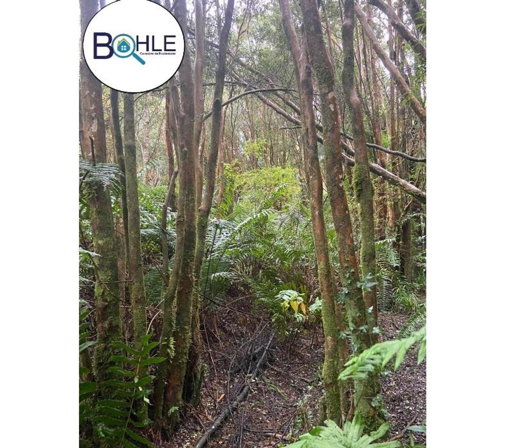 Parcelas en Venta Llanquihue Puerto Varas - Fotos de VENDO - TERRENO EN PUERTO VARAS 3 HECTÁREAS