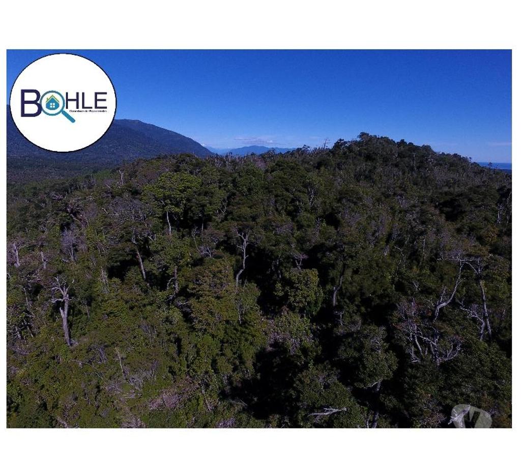 Venta de Haciendas Palena Hualaihué - Fotos de CAMPO 99 HA EN QUILDACO ALTO, HUALAIHUE