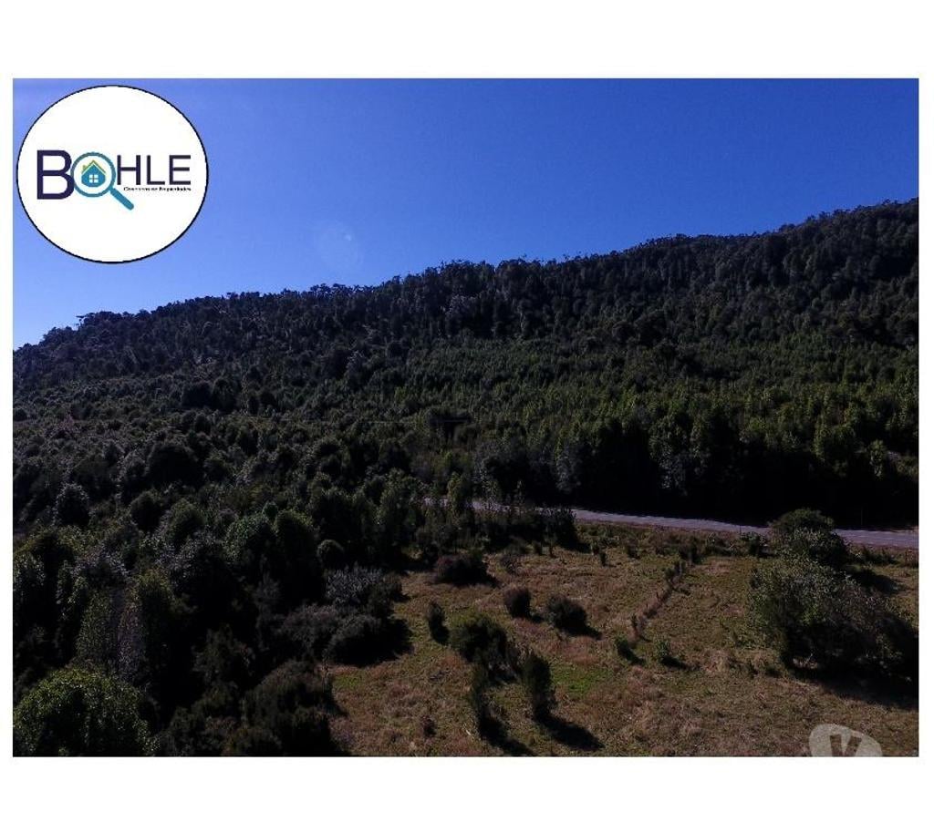 Venta de Haciendas Palena Hualaihué - Fotos de CAMPO 99 HA EN QUILDACO ALTO, HUALAIHUE