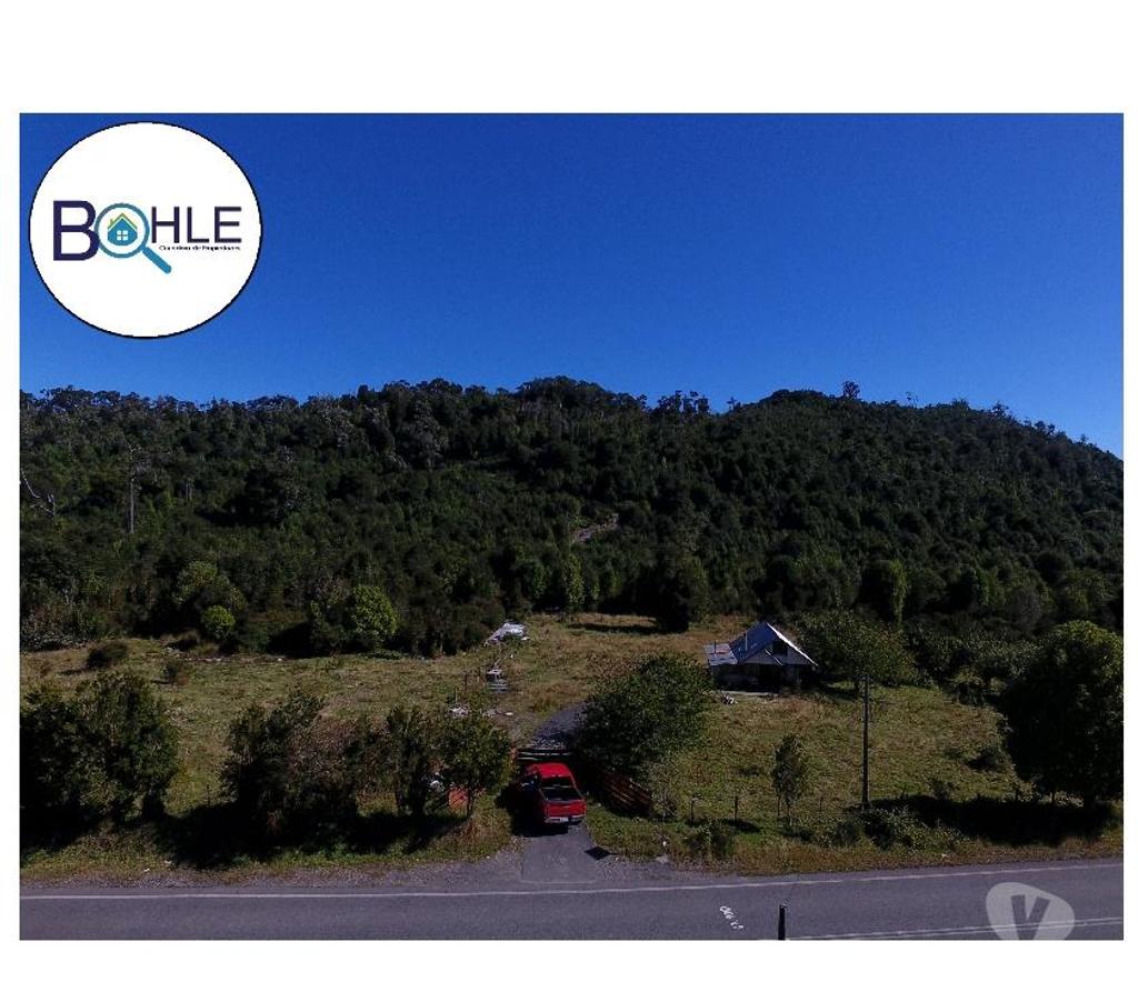Venta de Haciendas Palena Hualaihué - Fotos de CAMPO 99 HA EN QUILDACO ALTO, HUALAIHUE