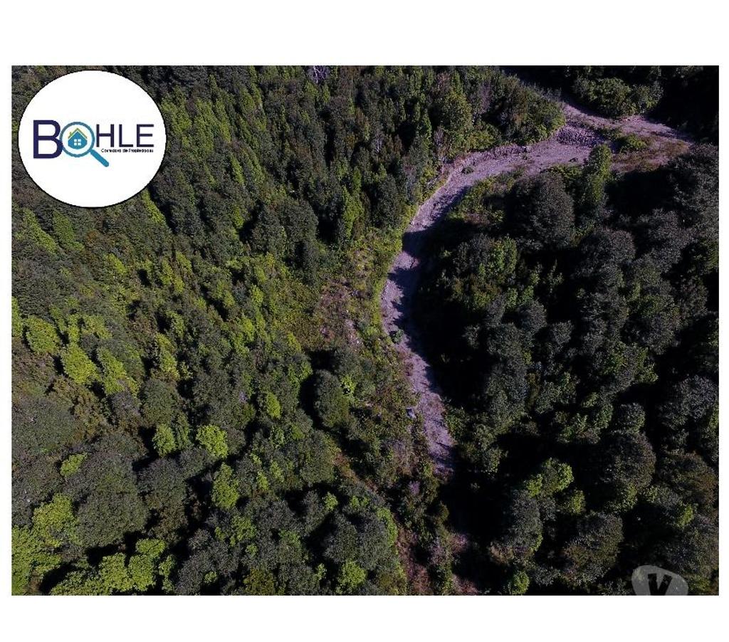 Venta de Haciendas Palena Hualaihué - Fotos de CAMPO 99 HA EN QUILDACO ALTO, HUALAIHUE