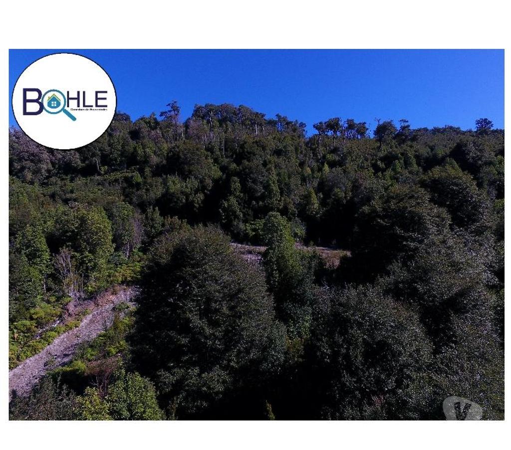 Venta de Haciendas Palena Hualaihué - Fotos de CAMPO 99 HA EN QUILDACO ALTO, HUALAIHUE