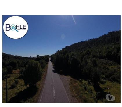 Venta de Campos Hualaihué Palena - Fotos de CAMPO 99 HA EN QUILDACO ALTO, HUALAIHUE
