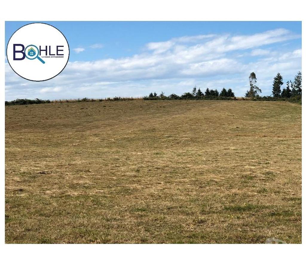 Venta de Haciendas Llanquihue Fresia - Fotos de VENDO - CAMPO DE 205 HA EN FRESIA