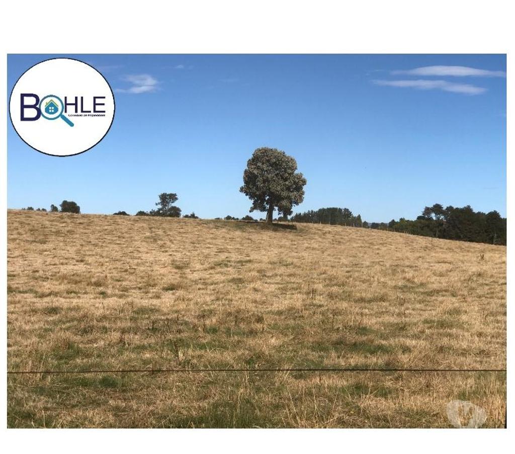 Venta de Haciendas Llanquihue Fresia - Fotos de VENDO - CAMPO DE 205 HA EN FRESIA