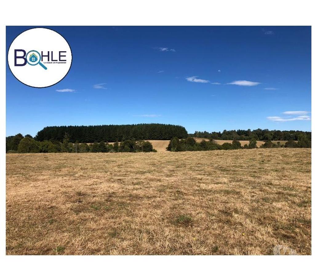 Venta de Haciendas Llanquihue Fresia - Fotos de VENDO - CAMPO DE 205 HA EN FRESIA