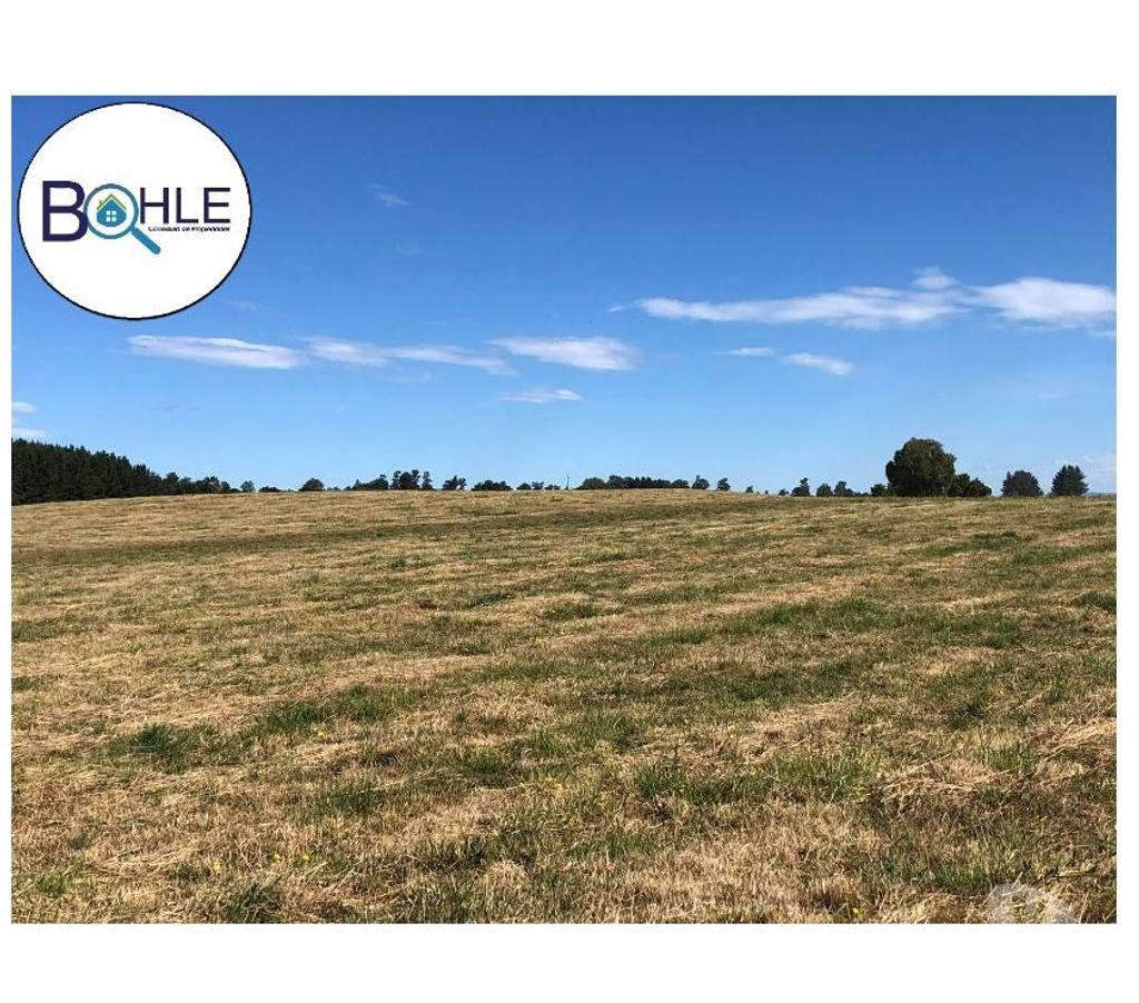Venta de Haciendas Llanquihue Fresia - Fotos de VENDO - CAMPO DE 205 HA EN FRESIA