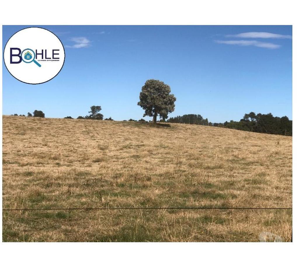 Venta de Haciendas Llanquihue Fresia - Fotos de VENDO - CAMPO DE 205 HA EN FRESIA