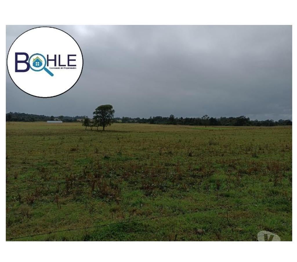 Venta de Haciendas Llanquihue Fresia - Fotos de VENDO - CAMPO DE 205 HA EN FRESIA