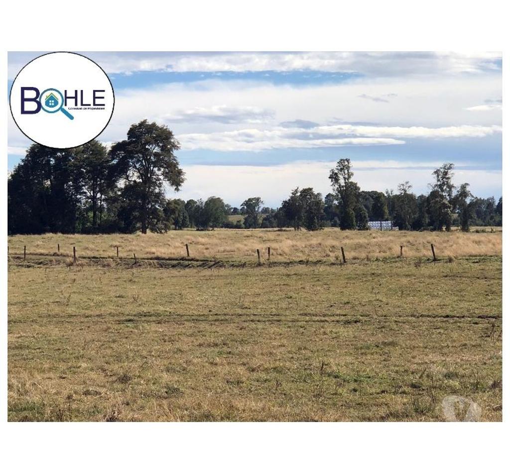 Venta de Haciendas Llanquihue Fresia - Fotos de VENDO - CAMPO DE 205 HA EN FRESIA